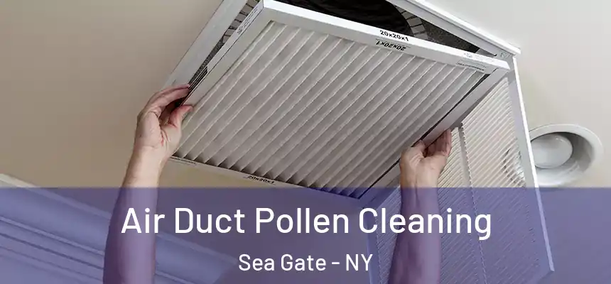 Air Duct Pollen Cleaning Sea Gate - NY