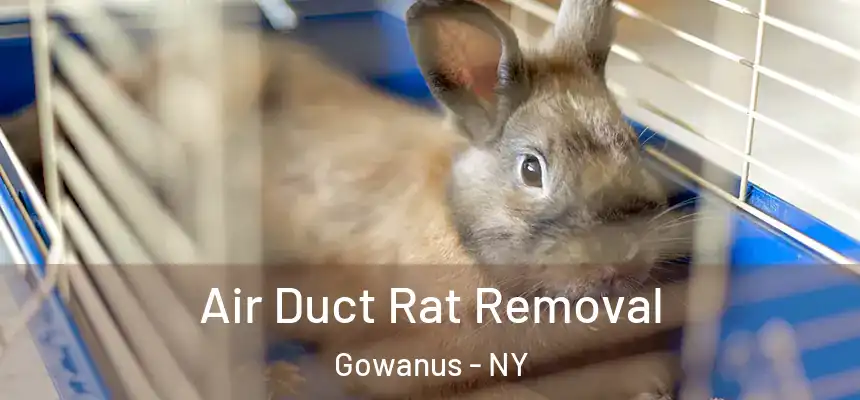Air Duct Rat Removal Gowanus - NY