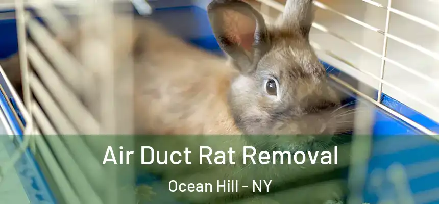 Air Duct Rat Removal Ocean Hill - NY