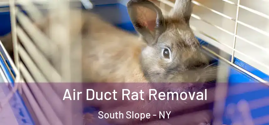 Air Duct Rat Removal South Slope - NY