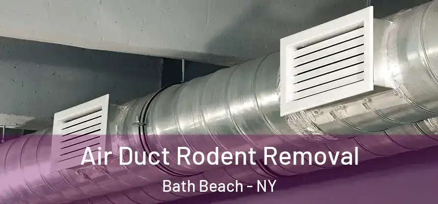 Air Duct Rodent Removal Bath Beach - NY