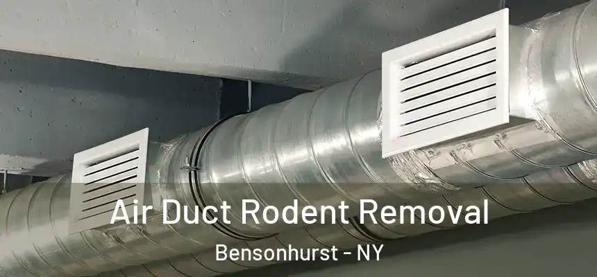 Air Duct Rodent Removal Bensonhurst - NY
