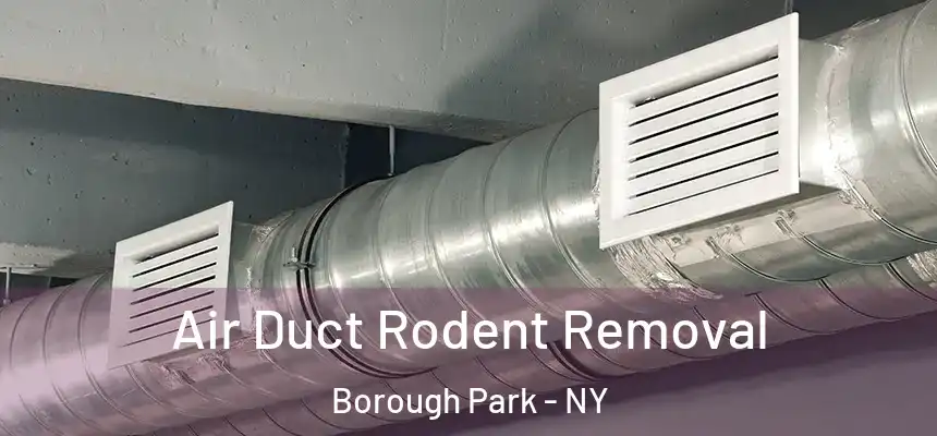 Air Duct Rodent Removal Borough Park - NY