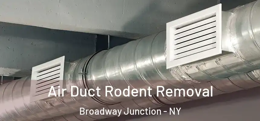 Air Duct Rodent Removal Broadway Junction - NY