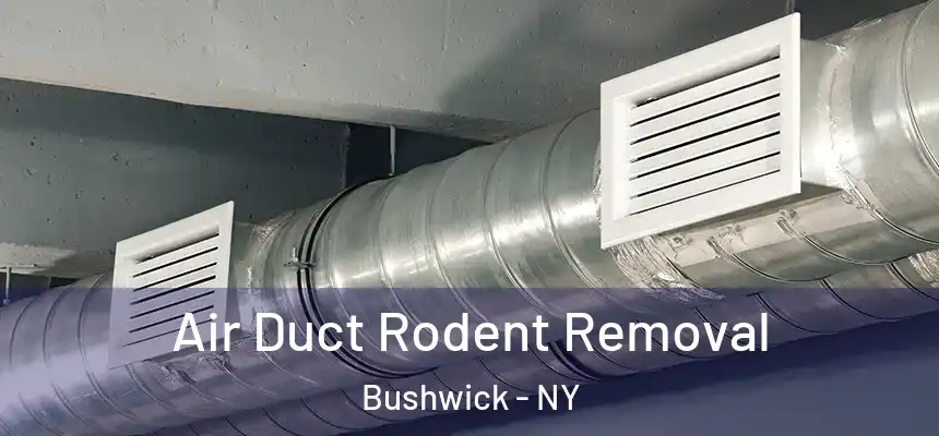 Air Duct Rodent Removal Bushwick - NY