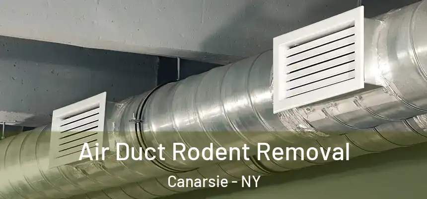 Air Duct Rodent Removal Canarsie - NY