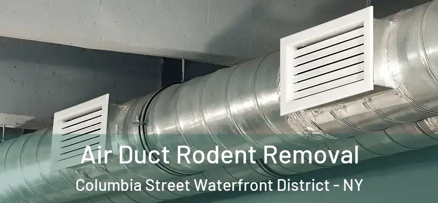 Air Duct Rodent Removal Columbia Street Waterfront District - NY