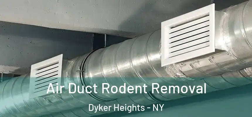 Air Duct Rodent Removal Dyker Heights - NY