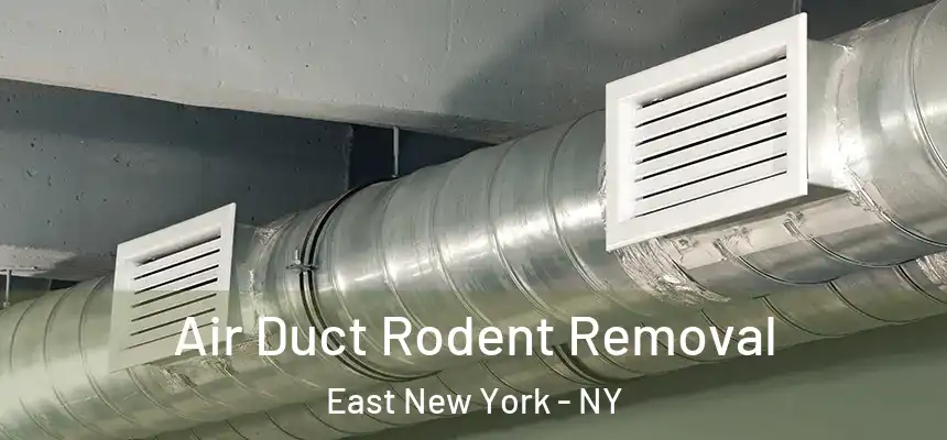 Air Duct Rodent Removal East New York - NY
