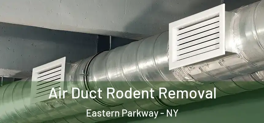 Air Duct Rodent Removal Eastern Parkway - NY