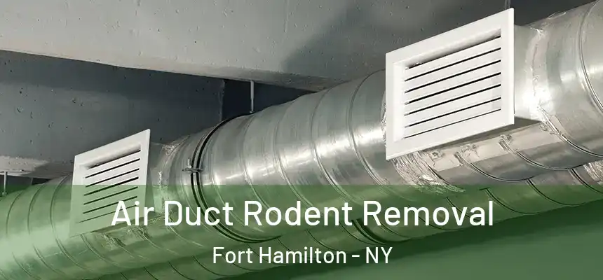 Air Duct Rodent Removal Fort Hamilton - NY