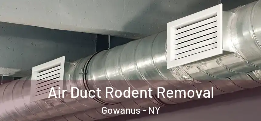 Air Duct Rodent Removal Gowanus - NY