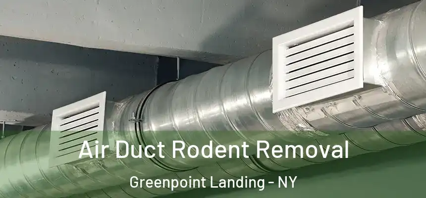 Air Duct Rodent Removal Greenpoint Landing - NY