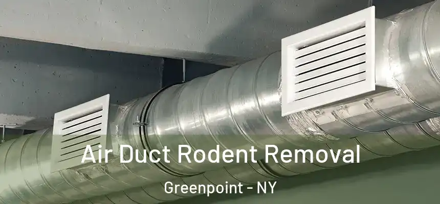 Air Duct Rodent Removal Greenpoint - NY