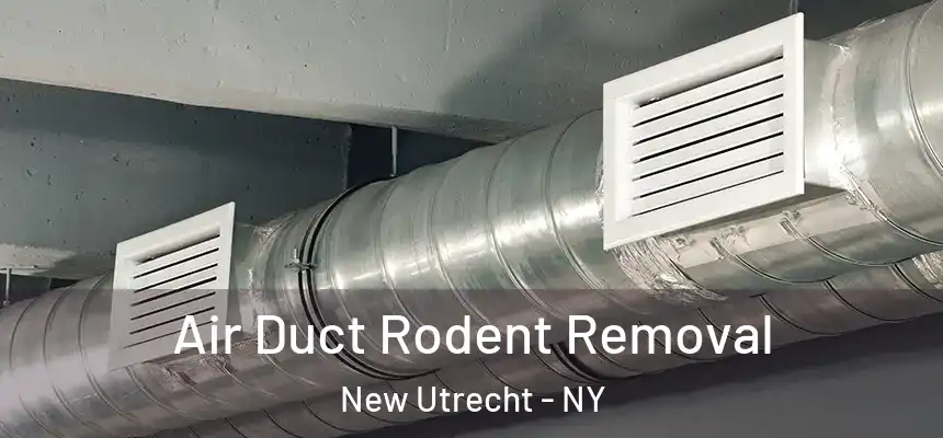 Air Duct Rodent Removal New Utrecht - NY