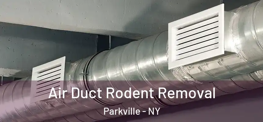 Air Duct Rodent Removal Parkville - NY