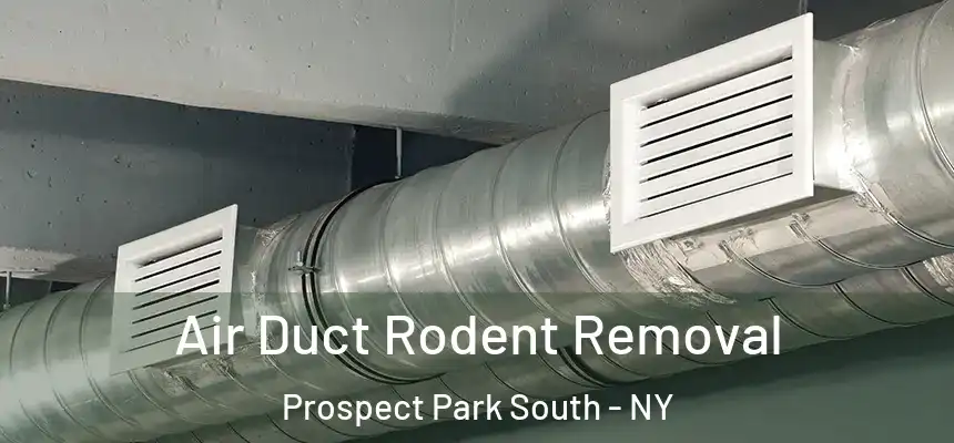 Air Duct Rodent Removal Prospect Park South - NY