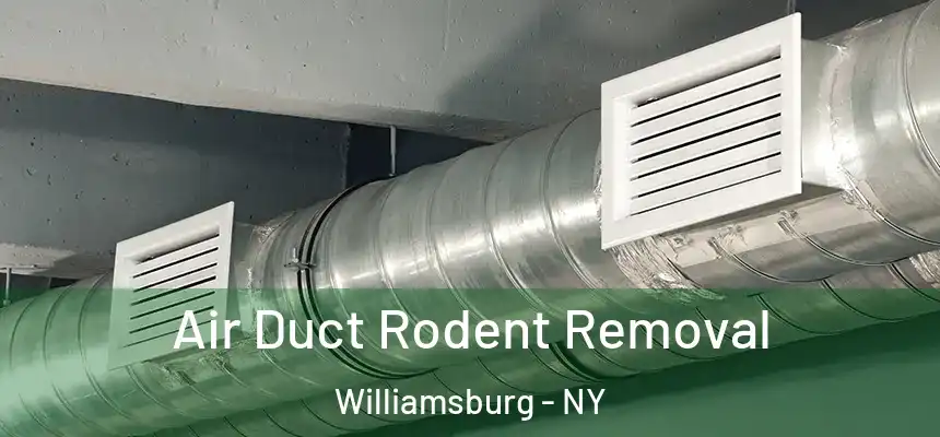 Air Duct Rodent Removal Williamsburg - NY