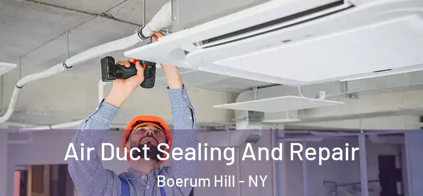 Air Duct Sealing And Repair Boerum Hill - NY