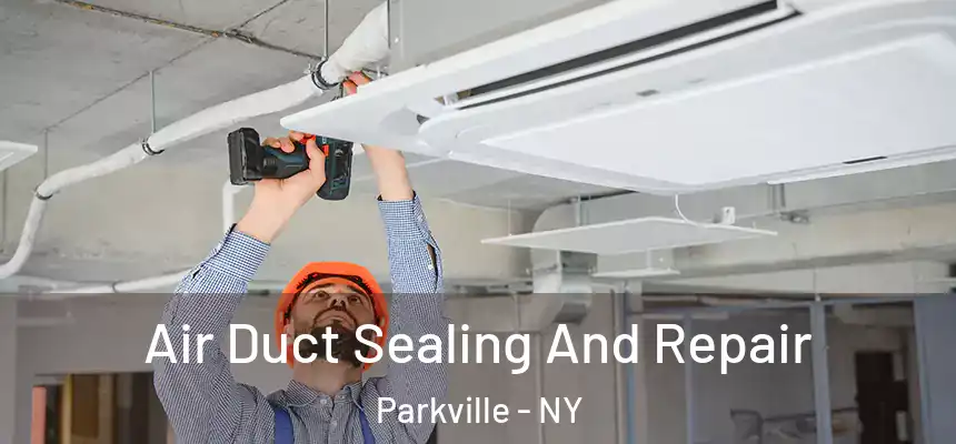 Air Duct Sealing And Repair Parkville - NY