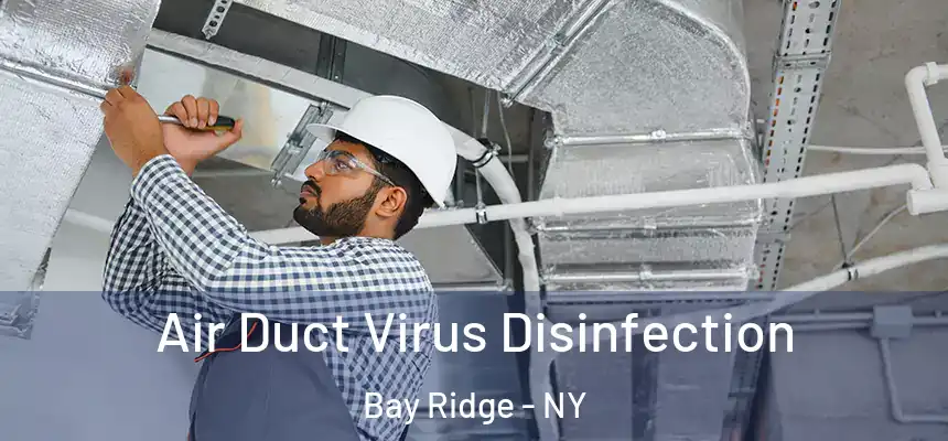 Air Duct Virus Disinfection Bay Ridge - NY