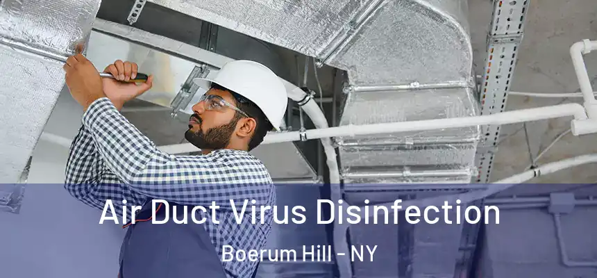Air Duct Virus Disinfection Boerum Hill - NY