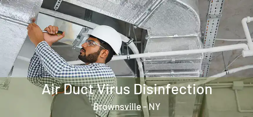 Air Duct Virus Disinfection Brownsville - NY