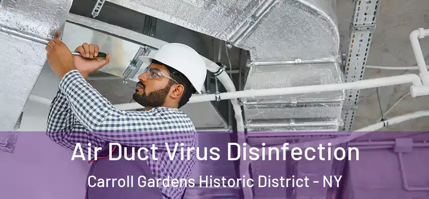 Air Duct Virus Disinfection Carroll Gardens Historic District - NY