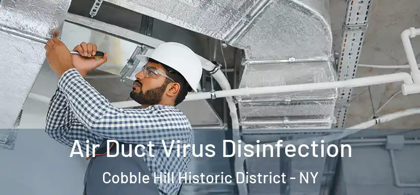 Air Duct Virus Disinfection Cobble Hill Historic District - NY