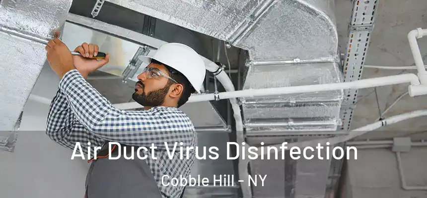 Air Duct Virus Disinfection Cobble Hill - NY