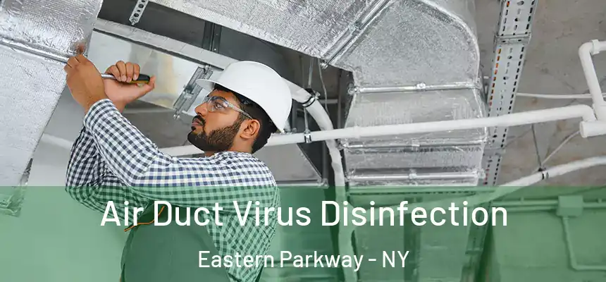 Air Duct Virus Disinfection Eastern Parkway - NY