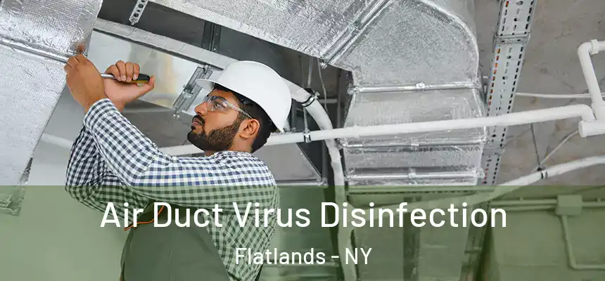 Air Duct Virus Disinfection Flatlands - NY