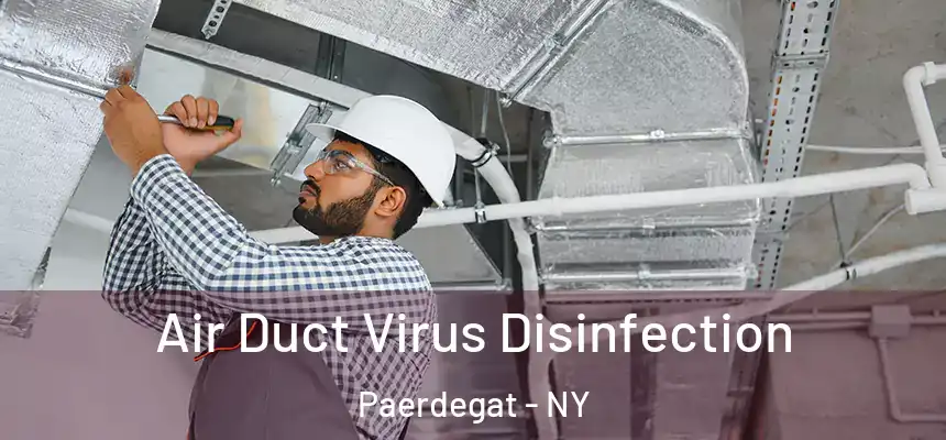 Air Duct Virus Disinfection Paerdegat - NY