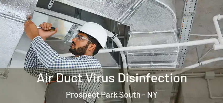 Air Duct Virus Disinfection Prospect Park South - NY