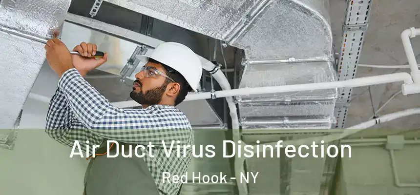Air Duct Virus Disinfection Red Hook - NY