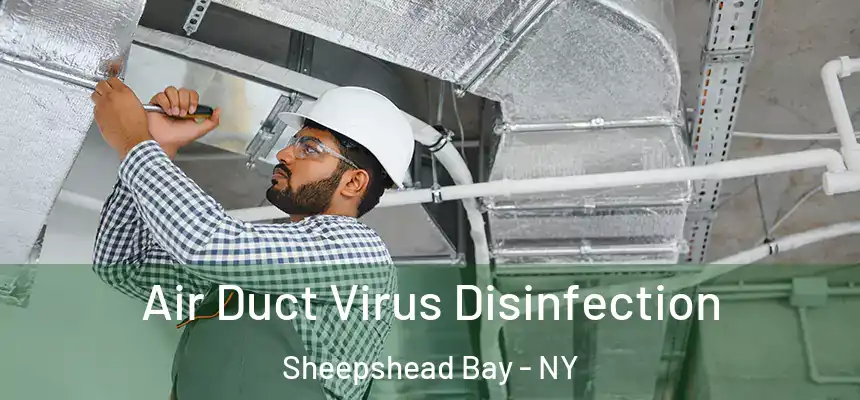 Air Duct Virus Disinfection Sheepshead Bay - NY