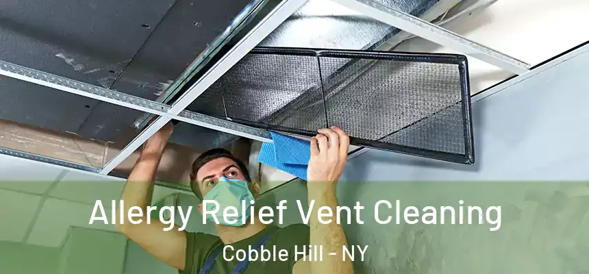 Allergy Relief Vent Cleaning Cobble Hill - NY