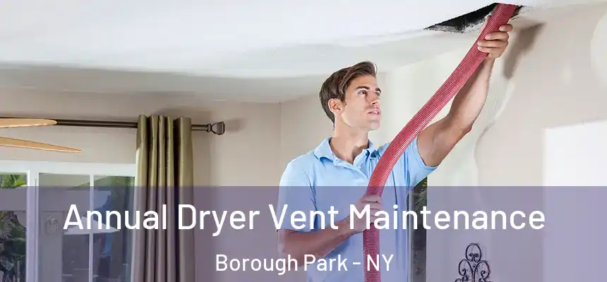 Annual Dryer Vent Maintenance Borough Park - NY