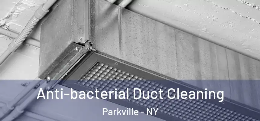  Anti-bacterial Duct Cleaning Parkville - NY
