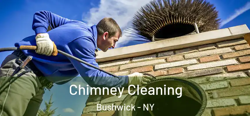 Chimney Cleaning Bushwick - NY