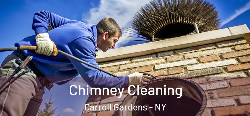 Chimney Cleaning Carroll Gardens - NY