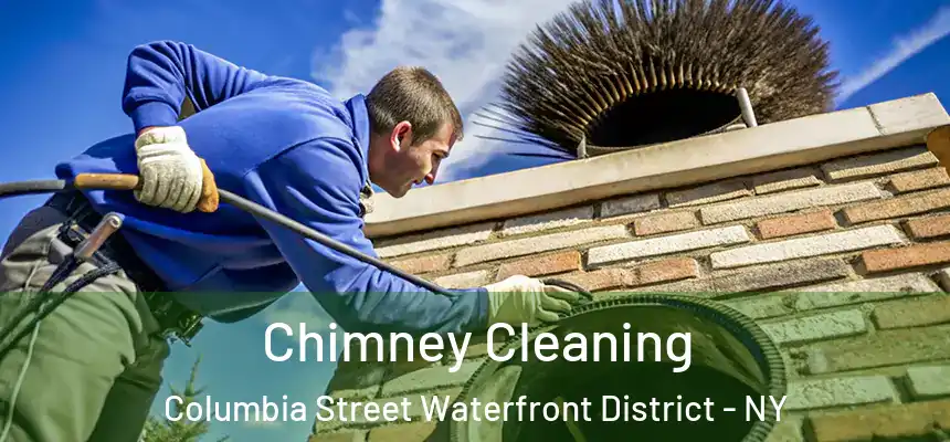 Chimney Cleaning Columbia Street Waterfront District - NY