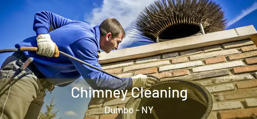 Chimney Cleaning Dumbo - NY