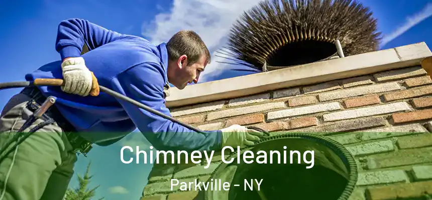 Chimney Cleaning Parkville - NY