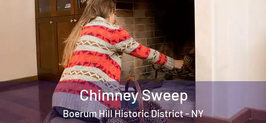 Chimney Sweep Boerum Hill Historic District - NY