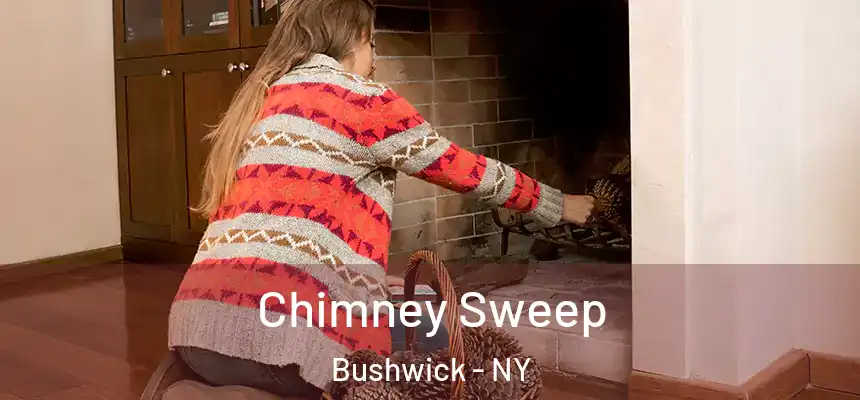 Chimney Sweep Bushwick - NY
