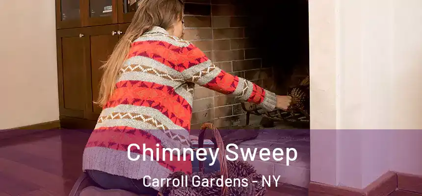 Chimney Sweep Carroll Gardens - NY