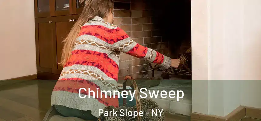 Chimney Sweep Park Slope - NY