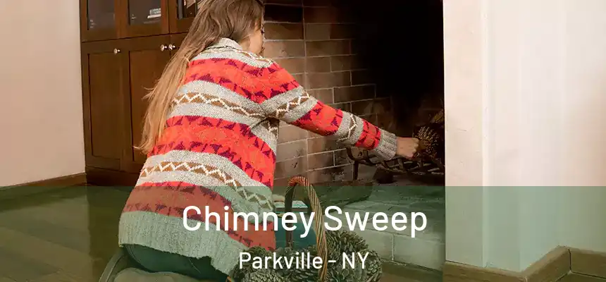 Chimney Sweep Parkville - NY