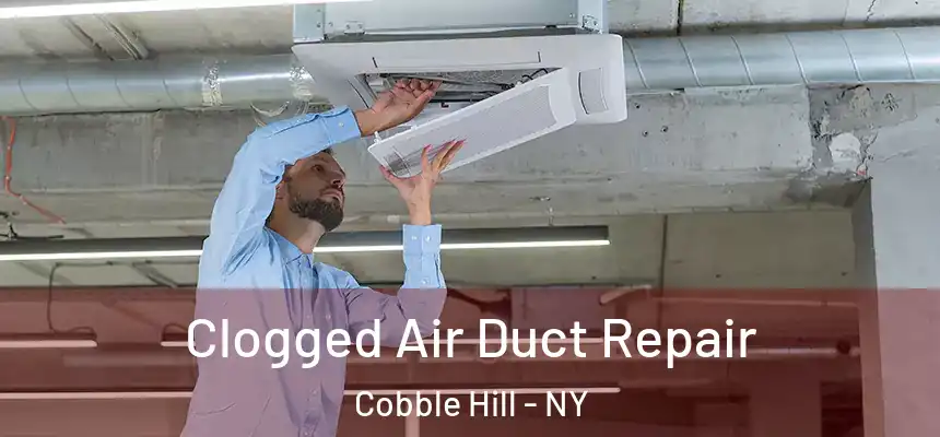 Clogged Air Duct Repair Cobble Hill - NY